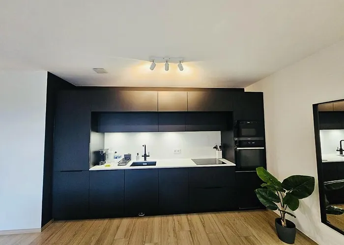 Serene 2 Bedroom Flat With Private Terrace-cd10 * לוקסמבורג